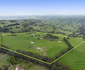 Rural / Farming commercial property for sale at 49 Creek Junction Road Kithbrook VIC 3666