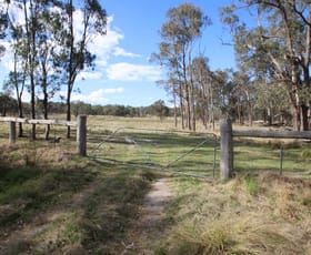 Rural / Farming commercial property for sale at 7042 New England Highway Tenterfield NSW 2372