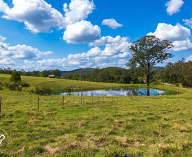 Rural / Farming commercial property for sale at 1338 Ebsworth Road Booral NSW 2425