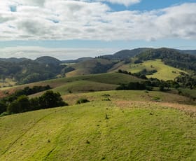 Rural / Farming commercial property sold at 984 & 1100 Coramba Road Megan NSW 2453