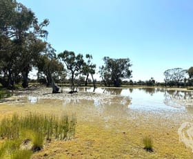 Rural / Farming commercial property for sale at 1503 Werah Creek Road Wee Waa NSW 2388