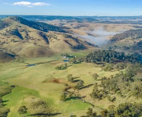 Rural / Farming commercial property for sale at 226 Quarry Road Ben Bullen NSW 2790