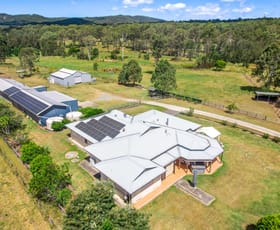 Rural / Farming commercial property for sale at 1 - 19 Stegemann Road Logan Village QLD 4207