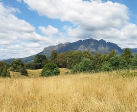Rural / Farming commercial property for sale at 148 Holmes Road Roland TAS 7306