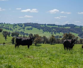 Rural / Farming commercial property sold at 166 Wirribilla Road Walcha NSW 2354