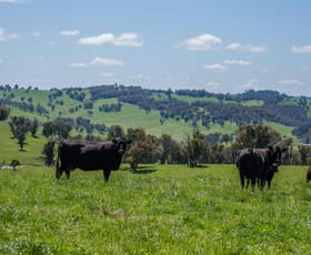 Rural / Farming commercial property for sale at 166 Wirribilla Road Walcha NSW 2354