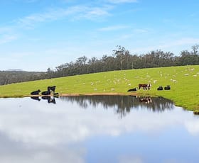 Rural / Farming commercial property for sale at 151 Wattle Hill Road Buchan South VIC 3885