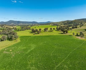 Rural / Farming commercial property for sale at 347 Yells Road Eugowra NSW 2806