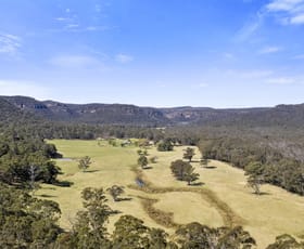 Rural / Farming commercial property for sale at 100 Hunters Lane Hartley Vale NSW 2790