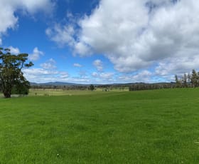 Rural / Farming commercial property sold at 114 Gilbeys Road Loira TAS 7275