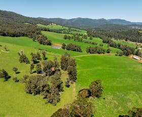 Rural / Farming commercial property for sale at 769 Buxton Marysville Road Marysville VIC 3779