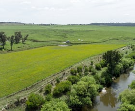 Rural / Farming commercial property sold at 1301 Watsons Creek Road Bendemeer NSW 2355