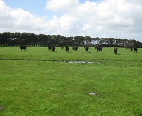 Rural / Farming commercial property sold at . Tin Mine Road Loorana TAS 7256