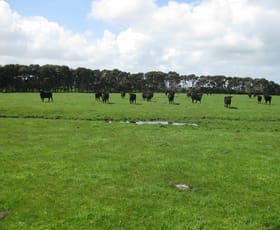 Rural / Farming commercial property for sale at . Tin Mine Road Loorana TAS 7256