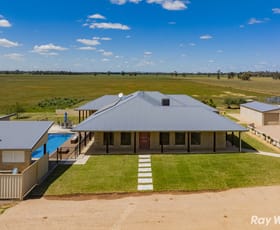 Rural / Farming commercial property for sale at 300 Ardlethan Rd Coolamon NSW 2701