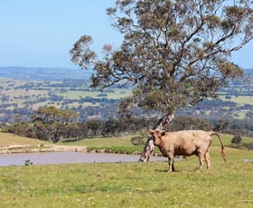 Rural / Farming commercial property sold at 395 Crows Nest Road Port Elliot SA 5212
