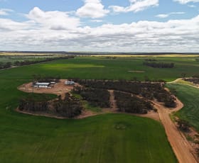 Rural / Farming commercial property for sale at 3279 Calzoni Road Hyden WA 6359