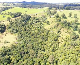 Rural / Farming commercial property for sale at 581 Theresa Creek Road Millaa Millaa QLD 4886