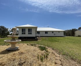 Rural / Farming commercial property sold at 152 Kentucky Lane Boggabilla NSW 2409