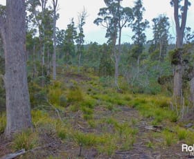 Rural / Farming commercial property sold at 608 Lilydale Road Underwood TAS 7268