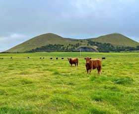 Rural / Farming commercial property sold at 65 Chatsworth Road Derrinallum VIC 3325