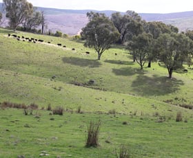 Rural / Farming commercial property for sale at Old Tumbarumba Road Batlow NSW 2730