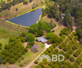 Rural / Farming commercial property for sale at 57 Rustys Lane Moorina QLD 4506