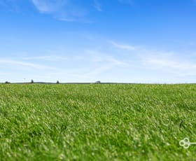 Rural / Farming commercial property for sale at 209 Atkin Road Kongorong SA 5291