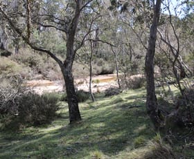 Rural / Farming commercial property sold at 8, 401 Glen Allen Road Glen Allen NSW 2631