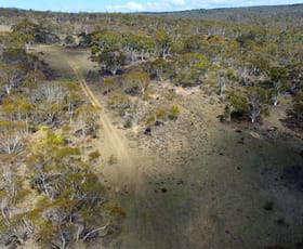 Rural / Farming commercial property sold at Lot 84 Parkers Road Peak View NSW 2630