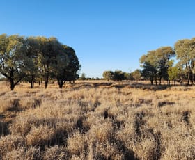 Rural / Farming commercial property for sale at MIDDLE ROAD Mitchell QLD 4465