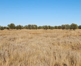 Rural / Farming commercial property sold at 3930 MIDDLE ROAD Mitchell QLD 4465