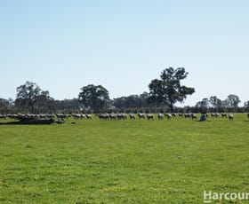Rural / Farming commercial property for sale at . Red Rock Road Glenisla VIC 3314