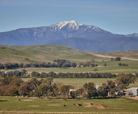 Rural / Farming commercial property for sale at 95 Stoneys Road Mansfield VIC 3722