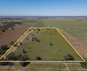 Rural / Farming commercial property for sale at 245 Alleena Road Barmedman NSW 2668