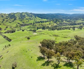 Rural / Farming commercial property for sale at 62 Hells Hole Creek Road Bonnie Doon VIC 3720 Rural / Farming commercial property for sale at 62 Hells Hole Creek Road Bonnie Doon VIC 3720