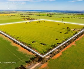 Rural / Farming commercial property for sale at 532 Cottee Road Currawarna NSW 2650