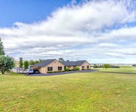 Rural / Farming commercial property for sale at 405 Ponto Falls Road Maryvale via, Wellington NSW 2820
