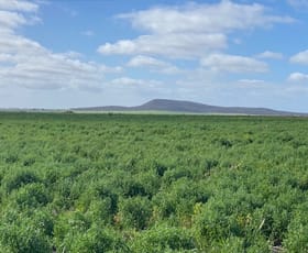 Rural / Farming commercial property sold at 1830 Chilmans Road Butler SA 5605