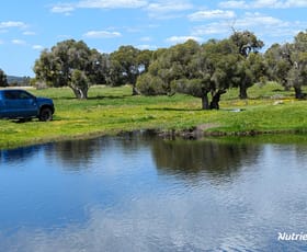 Rural / Farming commercial property for sale at 139 Coonabidgee Road Coonabidgee WA 6503