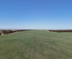 Rural / Farming commercial property sold at 'Beetaloo' Bundock Parade Beetaloo Valley SA 5523