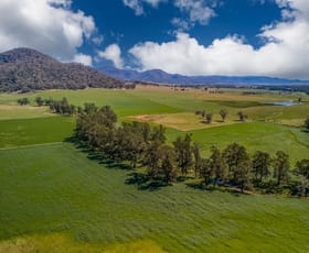 Rural / Farming commercial property for sale at 1692 Martindale Road Denman NSW 2328