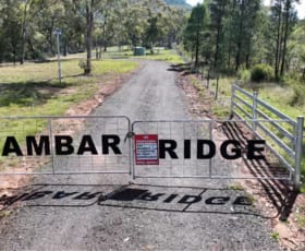 Rural / Farming commercial property for sale at 100 High Street Tambar Springs NSW 2381