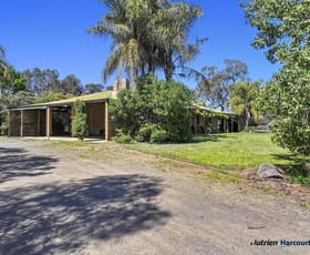 Rural / Farming commercial property sold at 411 Walshs Road Miepoll VIC 3666
