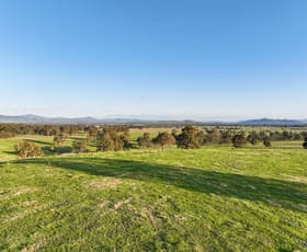 Rural / Farming commercial property for sale at 255 Blue Range Road Bridge Creek VIC 3723