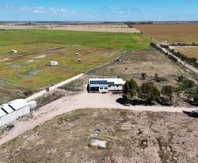Rural / Farming commercial property sold at 77 Copper Lane Kadina SA 5554