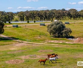 Rural / Farming commercial property for sale at 201 Gayfer Road Chiltern VIC 3683