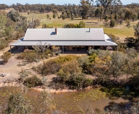 Rural / Farming commercial property sold at 1554 Feltrim Road Violet Town VIC 3669