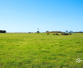 Rural / Farming commercial property for sale at 220/ Kingsley Road Allendale East SA 5291