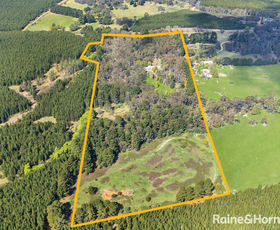 Rural / Farming commercial property for sale at 141 Sunny Corner Road Kirkconnell NSW 2795